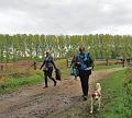 Herfstwandeling op 20-10-2013 (11)